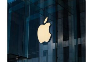 20251003103342_apple2