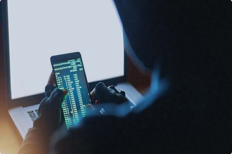 64e0516f5220ff8b85781db6_Cyber Frauds_2x (1)