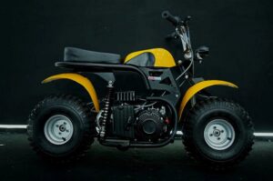 knk-4-bhp-off-road-monkey-bike-in-india_4f86d8ea04