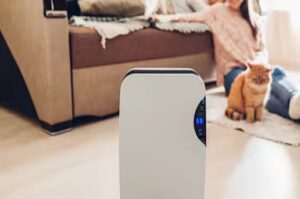 Amazon-dehumidifier-buying-tips-and-options-2026-06-538858be21bf454502547324ac434549-1200x675
