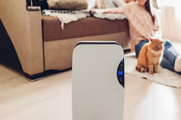 Amazon-dehumidifier-buying-tips-and-options-2026-06-538858be21bf454502547324ac434549-1200x675