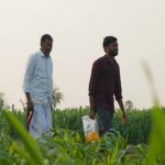 Families using pioneer for generations