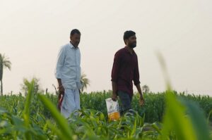 Families using pioneer for generations