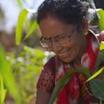 Women farmer in paddy fields (1)